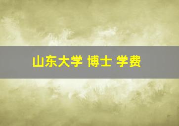 山东大学 博士 学费